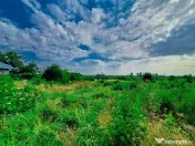 Teren intravilan Bradu Arges 