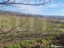 TEREN EXTRAVILAN AGRICOL