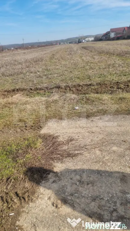 TEREN INTRAVILAN CONSTRUCTII 2240 MP lIPANESTI - Lipanesti (Prahova)