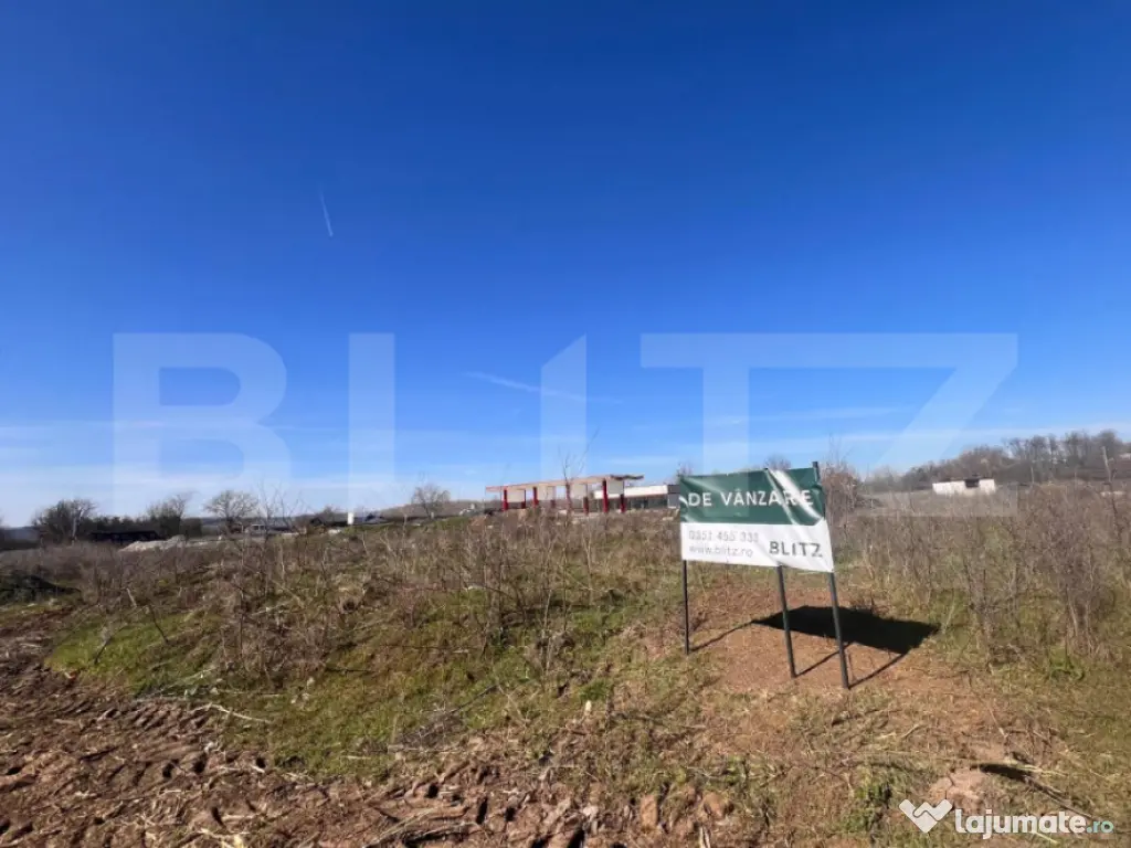 Teren intravilan 12.500 mp, zona Profi Logistic Isalnita