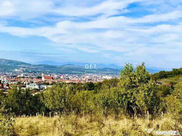 Terenuri de vanzare Bistrita - 22 parcele | 16000 mp