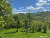 Teren 1200 mp + Casa - Comuna Arefu 