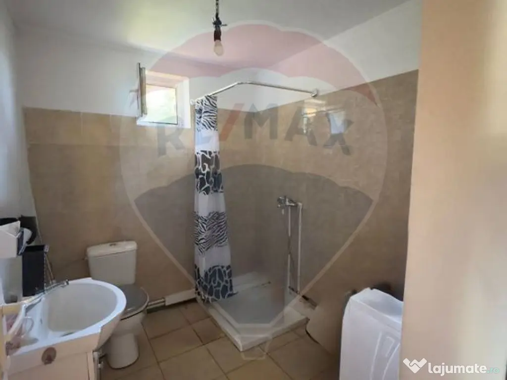 Casă / Vilă cu 5 camere de vânzare în zona Romanesti