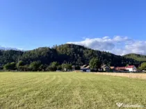 Teren 650 mp Zarnesti