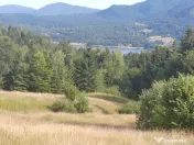 Teren Colibita - 2 hectare - acces direct din drumul 173 D 