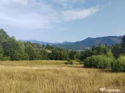 Teren Colibita - 2 hectare - acces direct din drumul 173 D 