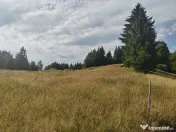 Teren Colibita - 2 hectare - acces direct din drumul 173 D 