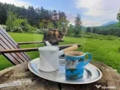 Casă / Vilă cu 2 camere de închiriat 