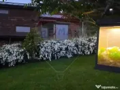 Casă / Vilă cu 2 camere de închiriat 