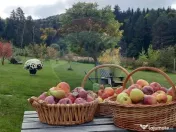 Casă / Vilă cu 2 camere de închiriat 