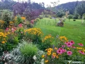 Casă / Vilă cu 2 camere de închiriat 