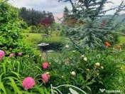 Casă / Vilă cu 2 camere de închiriat 