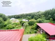 Proprietate com.Girov,compusa din casa,anexe si 8800 mp teren 