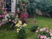 Vila superba in stil mediteranean Saftica- Corbeanca- COM... 