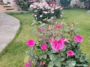 Vila superba in stil mediteranean Saftica- Corbeanca- COM... 