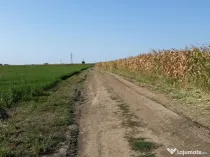 Teren agricol extravilan 15000mp