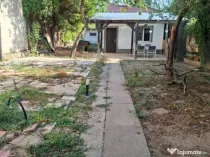 Bdul Ion Mihalache- Pta Chibrit