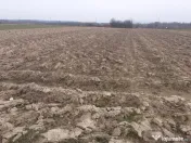 Mocira, 29 ari teren 