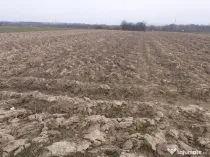 Mocira, 29 ari teren