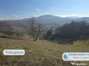 Stejarul Rosiei - Casa traditionala de 