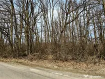 Teren / Padure in Corbeanca - Radarului