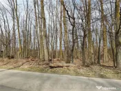 Teren / Padure in Corbeanca - Radarului 