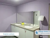 Oportunitate investitionala - Proprietate Ho.Re.Ca - Budurea 