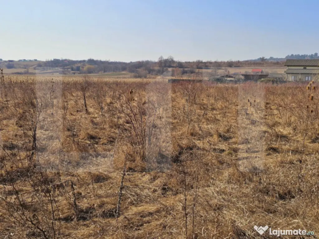 Teren intravilan 1558 mp cu PUZ – zona Szalomer