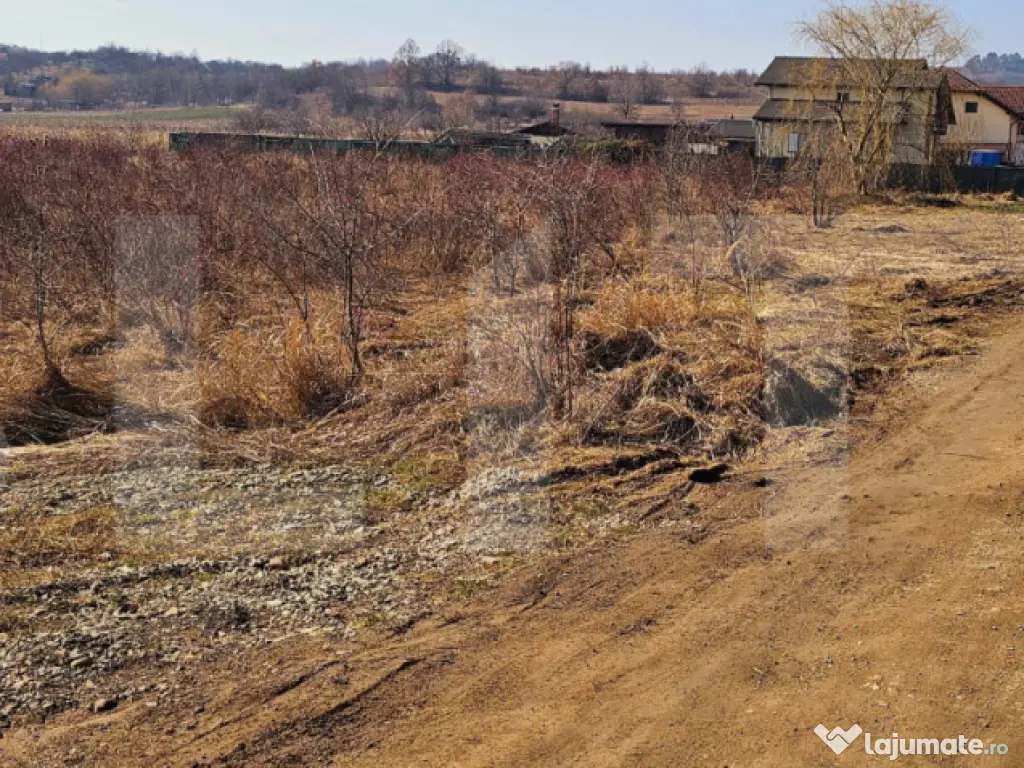 Teren intravilan 1558 mp cu PUZ – zona Szalomer