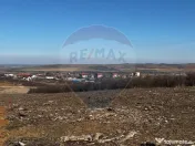 Teren de vânzare – Paleu, județul Bihor | 3 parcele a... 