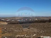 Teren de vânzare – Paleu, județul Bihor | 3 parcele a...