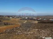 Teren de vânzare – Paleu, județul Bihor | 3 parcele a...