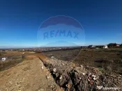 Teren de vânzare – Paleu, județul Bihor | 3 parcele a... 