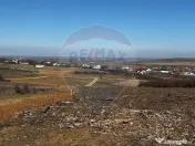 Teren de vânzare – Paleu, județul Bihor | 3 parcele a... 