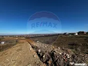 Teren de vânzare – Paleu, județul Bihor | 3 parcele a... 