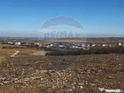 Teren de vânzare – Paleu, județul Bihor | 3 parcele a... 