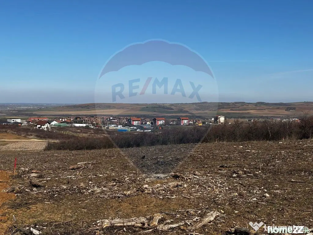 Teren de vânzare – Paleu, județul Bihor | 3 parcele a... - Paleu (Bihor)