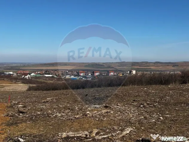 Teren de vânzare – Paleu, județul Bihor | 3 parcele a... - Paleu (Bihor)