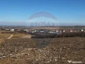 Teren de vânzare – Paleu, județul Bihor | 3 parcele a... 