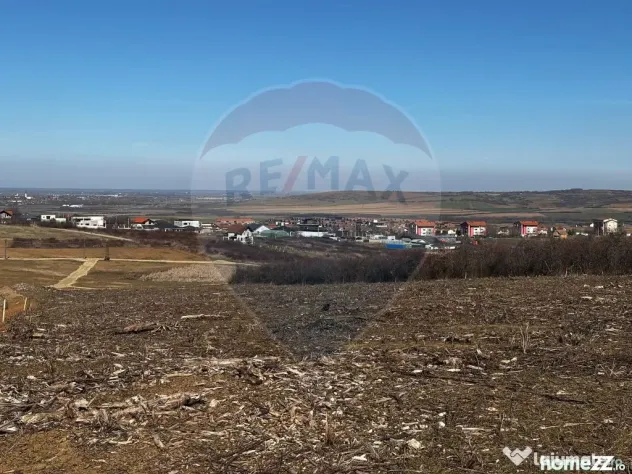Teren de vânzare – Paleu, județul Bihor | 3 parcele a... - Paleu (Bihor)