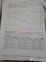 9,4 ha teren lângă DEx12 Pitești | 2,85 €/mp | lotur...