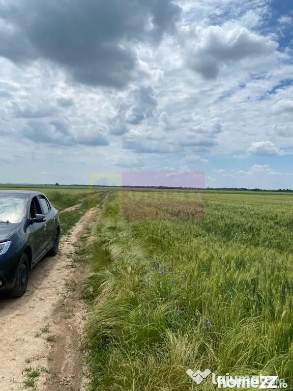 9,4 ha teren lângă DEx12 Pitești | 2,85 €/mp | lotur...