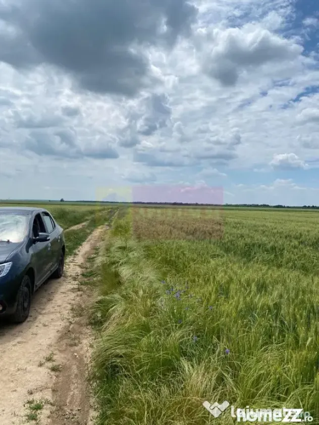 9,4 ha teren lângă DEx12 Pitești | 2,85 €/mp | lotur...