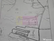 9,4 ha teren lângă DEx12 Pitești | 2,85 €/mp | lotur... 