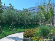 Apartament Nou 3 Camere Finalizat- 92 mp util-Sect. 1, Mall Colosseum