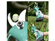 Foarfecă – Pentru Livezi, Grădini și Vii 