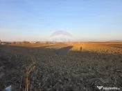 Teren intravilan, 5000 mp, Stupini, str Pomiculturii 