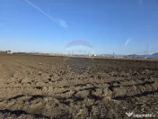 Teren intravilan, 5000 mp, Stupini, str Pomiculturii 