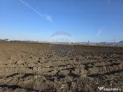 Teren intravilan, 5000 mp, Stupini, str Pomiculturii 