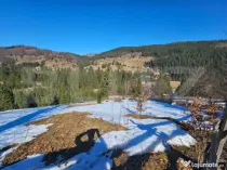 Teren 2 ha, cu pădure proprie și panoramă spre munți, Ar